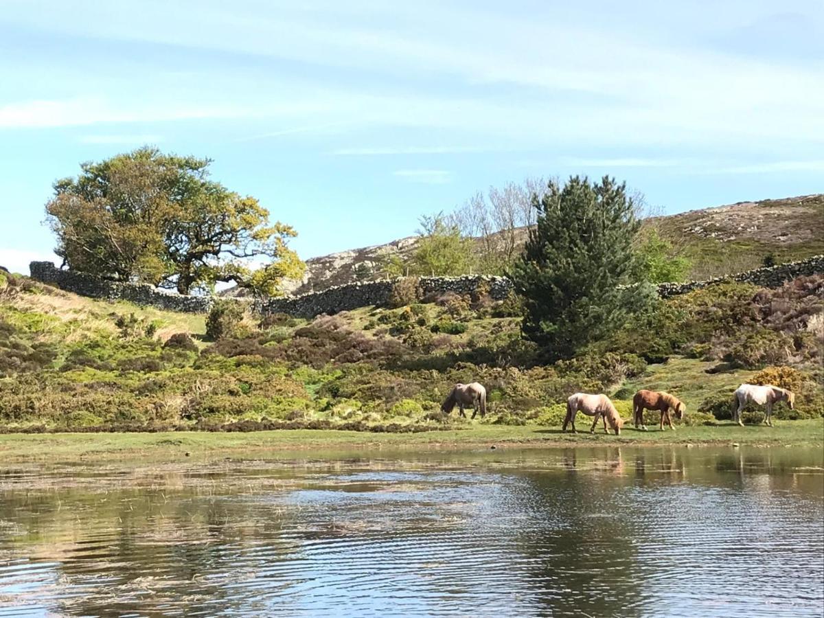 River Cottage Conwy Kültér fotó